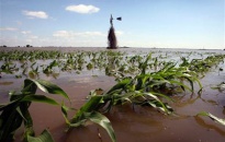 Có nguy cơ khủng hoảng lương thực cuối năm 2011