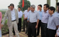 Tập trung cao cho dự án khu CN Sài Gòn - Hải Phòng