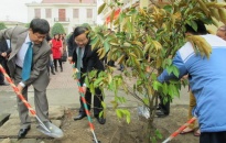 Phát động tết trồng cây tại huyện An Dương