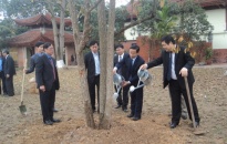 Quận Hồng Bàng tổ chức phát động tết trồng cây