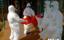 Ngăn chặn dịch bệnh do vi rút Ebola lan truyền vào Việt Nam