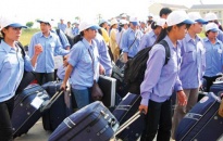 Thêm 1 công ty VN bị tạm dừng cung ứng lao động sang Đài Loan