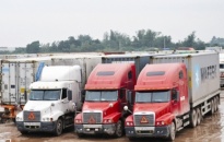 Số lượng xe container đăng ký tăng đột biến