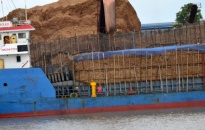 Cảnh báo tàu biển chở dăm gỗ không đóng nắp hầm hàng