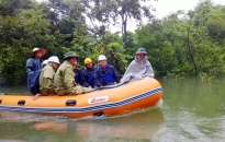 Kiểm tra công tác phòng, chống ngập lụt tại huyện Cát Hải