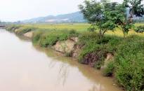 Tuyến kênh tưới tiêu Ngọc Vẹt-Quảng Thanh xuống cấp nghiêm trọng