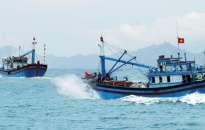 Ký hợp đồng tín dụng đóng tàu khai thác cá xa bờ