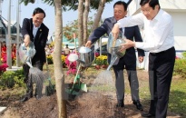 Chủ tịch nước phát động Tết trồng cây đời đời nhớ ơn Bác Hồ