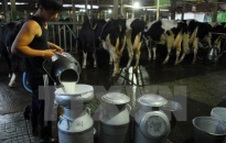 Cần trung tâm kiểm định chất lượng sữa độc lập để tránh tranh chấp