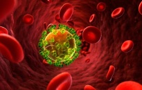 Lần đầu tiên tìm ra phương pháp diệt tận gốc HIV