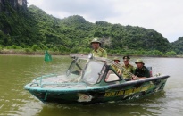 Kiểm tra rừng ngập mặn ven biển tại xã Phù Long, huyện Cát Hải