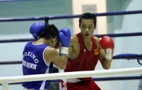 Giải vô địch Boxing nam, nữ toàn quốc 2016