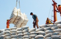 Việt Nam sẵn sàng cung cấp các loại gạo chất lượng cho Philippines