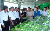 Thủ tướng Chính phủ Nguyễn Xuân Phúc tiếp xúc cử tri huyện Vĩnh Bảo
