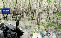Vườn quốc gia Cát Bà: Tăng cường bảo tồn đa dạng sinh quyển