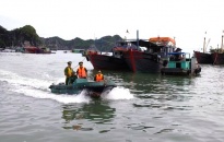 Huyện Cát Hải: Xử lý 89 vụ tàng trữ te kích điện trên tàu cá