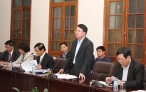 Chuẩn bị tổ chức giao lưu văn hóa Nhật Bản, triển lãm hoa Anh đào