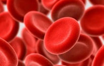 Trẻ hóa máu cơ thể để chống ung thư