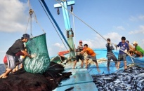 Nghiên cứu giải pháp phát triển kinh tế biển