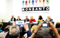 Yêu cầu thành lập ủy ban điều tra Monsanto vì hủy hoại môi trường