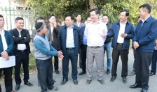 Tạm dừng chuyển đổi mục đích sử dụng đất sang đất ở đối với hộ gia đình cá nhân