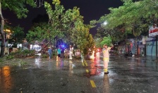 Quận Hồng Bàng tích cực phòng chống bão số 2