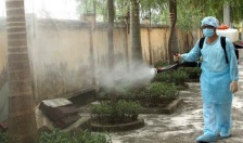 Quận Dương Kinh: Tăng cường phòng, chống bệnh Sốt xuất huyết Dengue