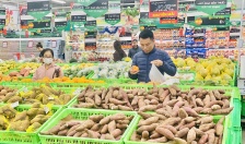 Tổng mức bán lẻ hàng hóa và doanh thu dịch vụ tiêu dùng tăng 13,82% so với cùng kỳ