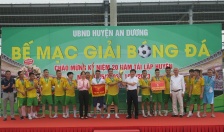 Giải bóng đá huyện An Dương năm 2023: Đội bóng xã Đồng Thái giành cúp vô địch