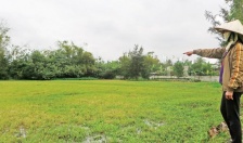 Huyện An Dương: Khắc phục được 109,62 ha/756,93 ha ruộng bỏ hoang 