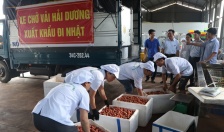  Nông sản Hải Dương “xuất ngoại” sang thị trường Nhật Bản