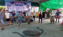 Huyện Vĩnh Bảo: 60 pháo thủ tranh tài tại hội thi giao lưu pháo đất 