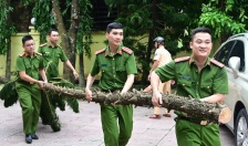 Công an thành phố triển khai công tác hỗ trợ các hộ dân Chung cư A7, A8 Vạn Mỹ di chuyển tài sản sau bão số 3