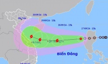 Chủ động ứng phó áp thấp nhiệt đới có khả năng mạnh lên thành bão