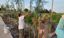 Hội Nông dân quận Kiến An: Đồng hành cùng hội viên vươn lên làm giàu, giảm nghèo bền vững