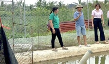 Ngân hàng Chính sách xã hội Chi nhánh Hải Phòng:  Tạm dừng thu lãi hộ vay bị thiệt hại do bão số 3