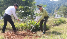 Quy định chi tiết thi hành một số điều của Luật Đất đai trên địa bàn Hải Phòng: Kỳ V: Điều kiện, trình tự, thủ tục thẩm định để giao đất không đấu giá quyền sử dụng đất cho cá nhân