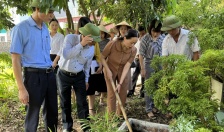 Hội LHPN huyện Vĩnh Bảo: Phát huy hiệu quả các mô hình phân loại chất thải rắn sinh hoạt tại nguồn 