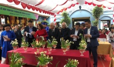 Độc đáo Hội thi Hoa Thủy tiên trên đất Cảng