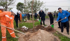 Điện lực Hải Phòng tổ chức phát động Tết trồng cây 