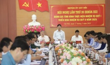 Huyện Cát Hải đón gần 500.000 lượt khách trong quý I năm 2025