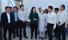 Bộ trưởng Bộ Y tế Đào Hồng Lan làm việc với Hải Phòng về công tác phòng, chống dịch sởi 