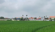 Huyện Kiến Thụy nỗ lực xây dựng lối sống xanh, xanh hóa nền kinh tế nông nghiệp