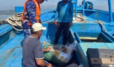 BTL Vùng Cảnh sát biển 1 bắt giữ tàu vận chuyển thực phẩm không rõ nguồn gốc