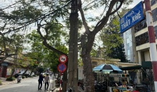 Điều chỉnh tổ chức giao thông trên đường Thất Khê, quận Hồng Bàng