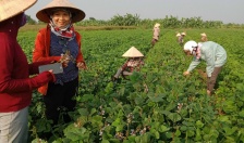 Công bố Danh mục chuẩn hóa TTHC lĩnh vực KHCN, nông nghiệp