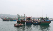 Hải Phòng siết chặt công tác chống khai thác hải sản IUU