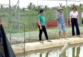 Ngân hàng Chính sách xã hội Chi nhánh Hải Phòng:  Tạm dừng thu lãi hộ vay bị thiệt hại do bão số 3