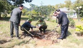 Hướng dẫn tuyên truyền thực hiện Chỉ thị 03 của Thủ tướng Chính phủ về trồng cây, trồng rừng, bảo vệ rừng