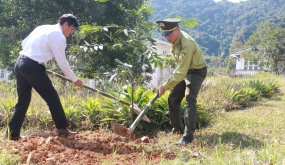 Quy định chi tiết thi hành một số điều của Luật Đất đai trên địa bàn Hải Phòng: Kỳ V: Điều kiện, trình tự, thủ tục thẩm định để giao đất không đấu giá quyền sử dụng đất cho cá nhân